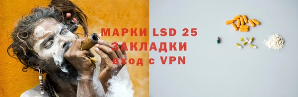 индика Протвино