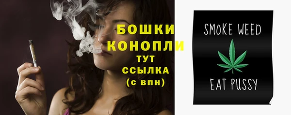 твердый Приозерск