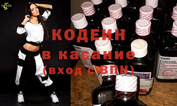 индика Протвино