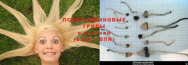 соль курить ск Покров