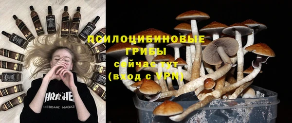 PSILOCYBIN Волоколамск