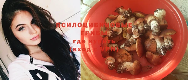 бошки Покачи